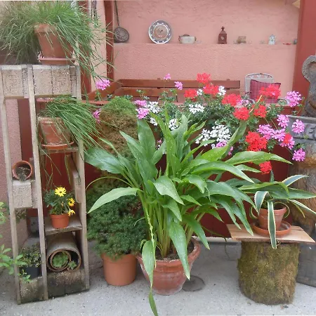Apartment Teubner